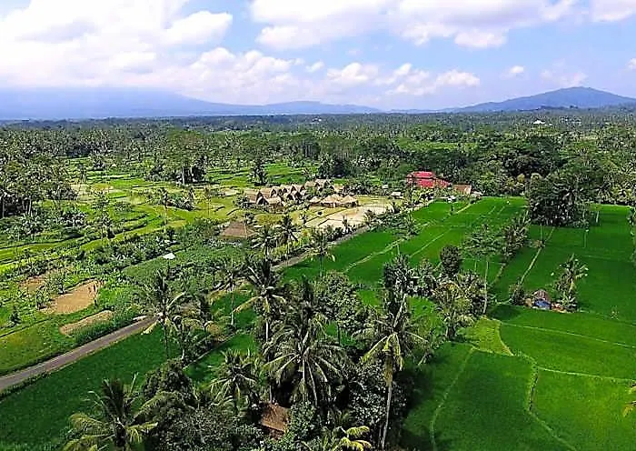 De Klumpu Bali Eco Tradi